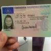 German driving license|authenticounterfeithub